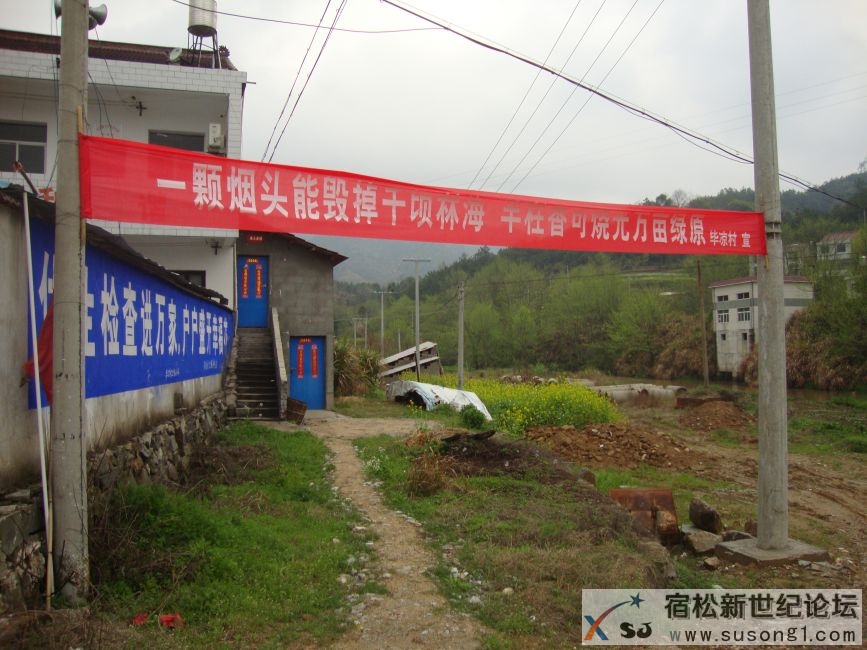 毕凉1.JPG