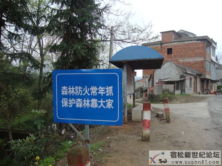 毕凉2.JPG