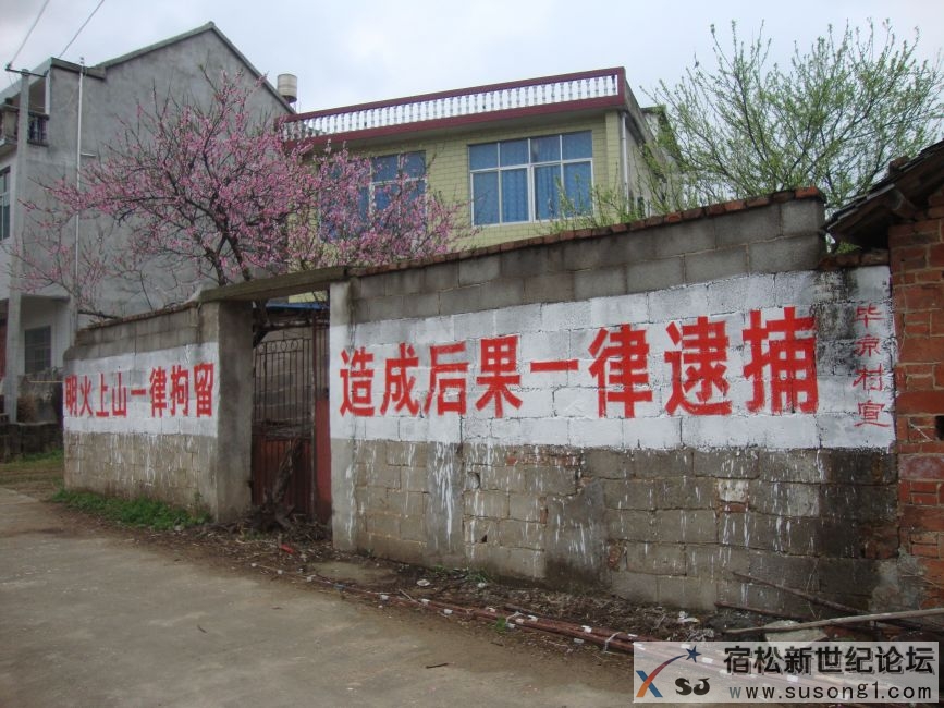毕凉.JPG