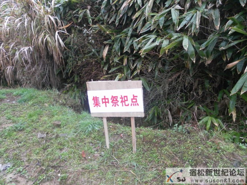 风和4.JPG