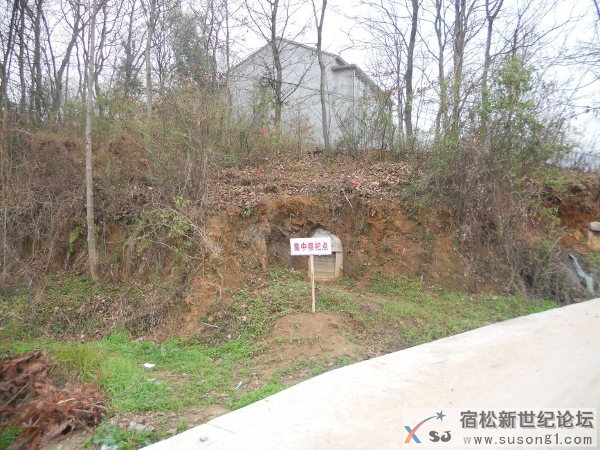 古山1.JPG
