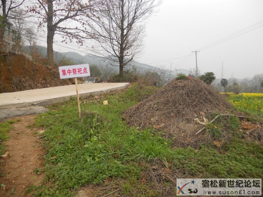 古山2.JPG