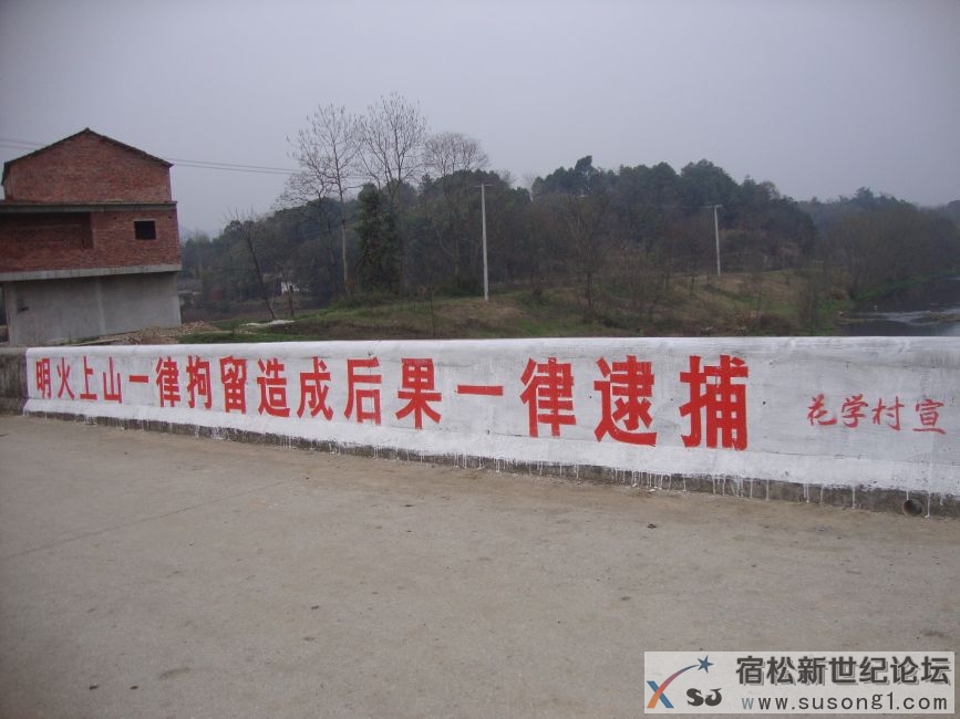 花学.JPG