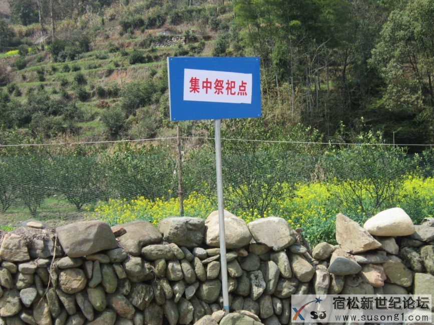 九井沟1.JPG