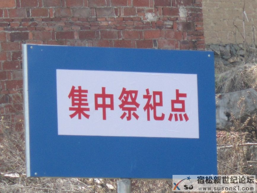 九井沟3.JPG