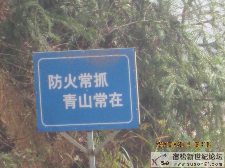 清河2.JPG