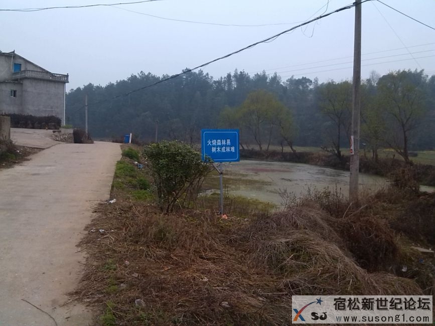 小圩1.JPG