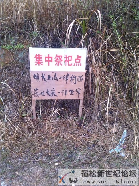 小圩2.JPG