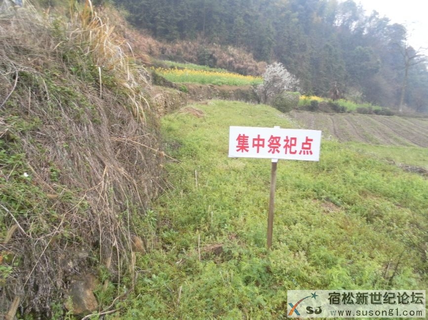 新源2.JPG