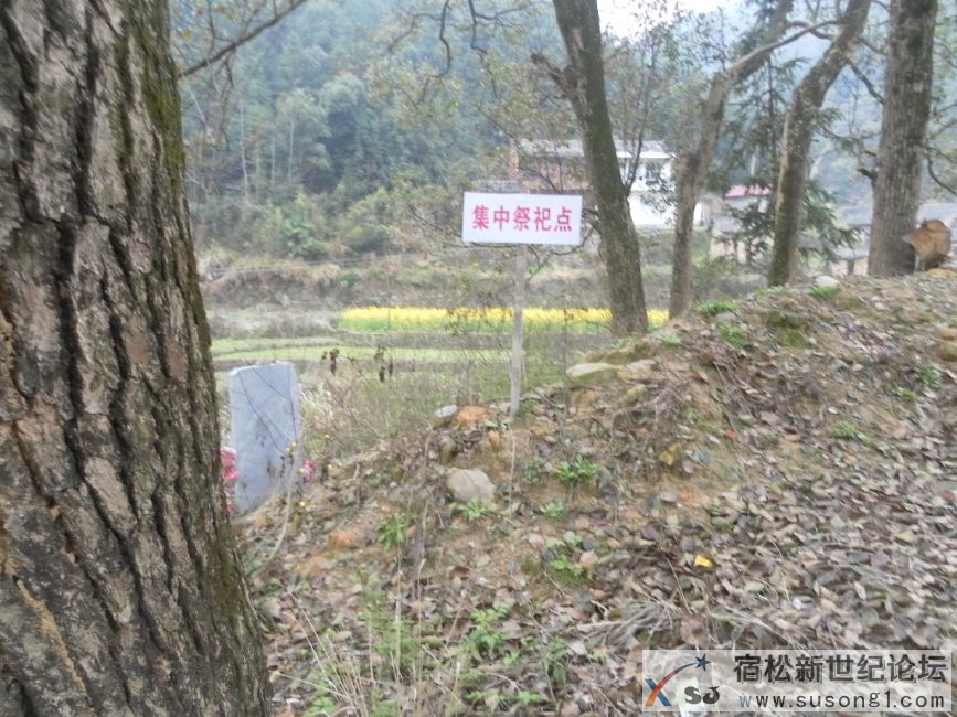 新源3.JPG