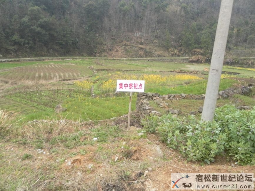 新源4.JPG