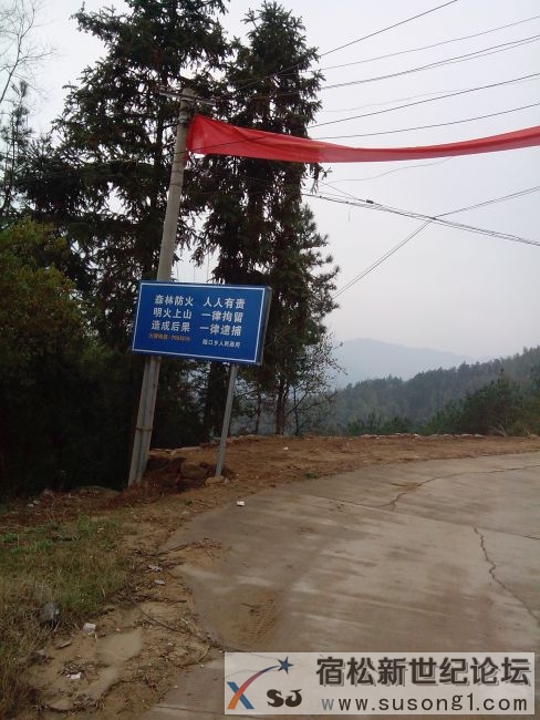元灯2.jpg