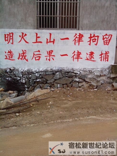 元灯.jpg