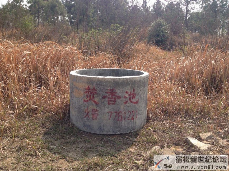 QQ图片20140327134555.jpg