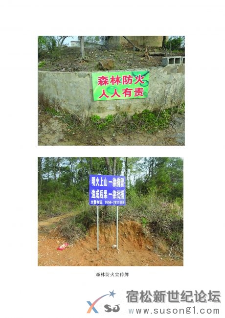 001-4.jpg