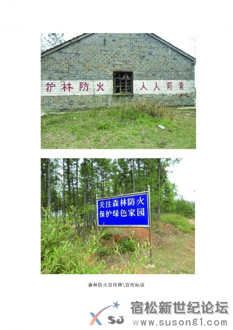 001-5.jpg