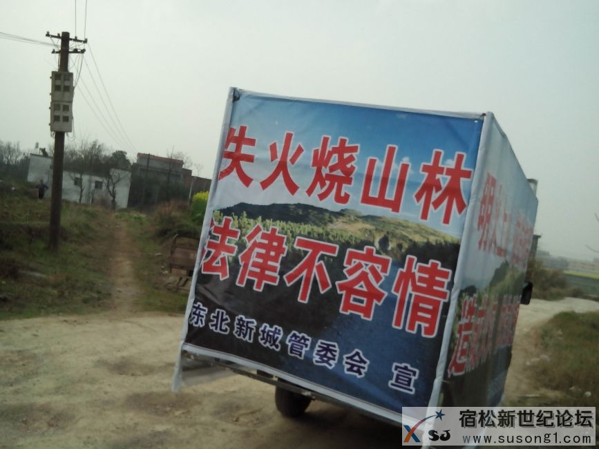 IMG20140318090837.jpg