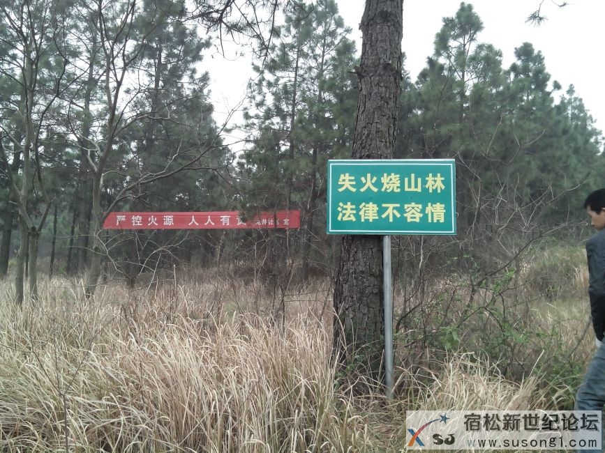 IMG20140320094248.jpg
