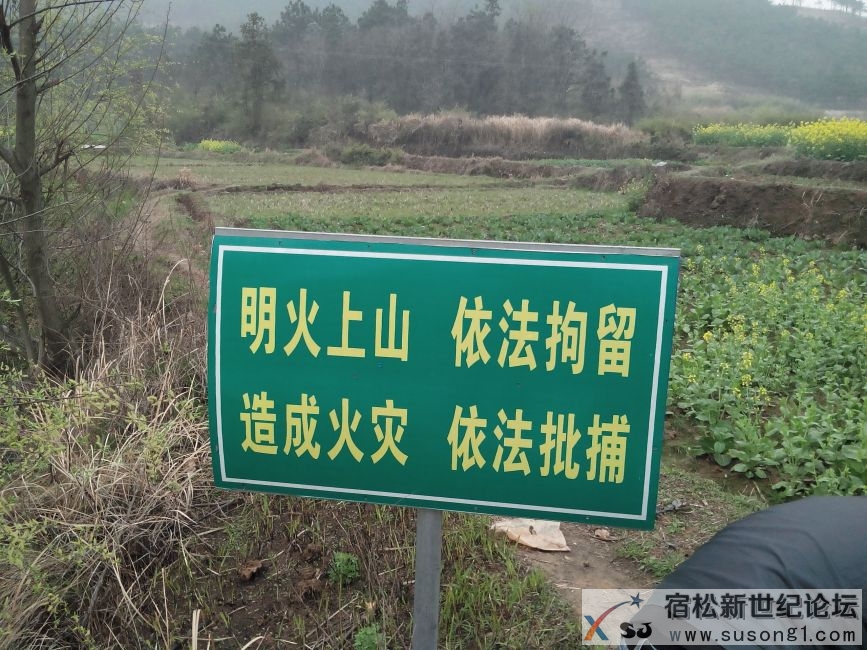 IMG20140320095130.jpg