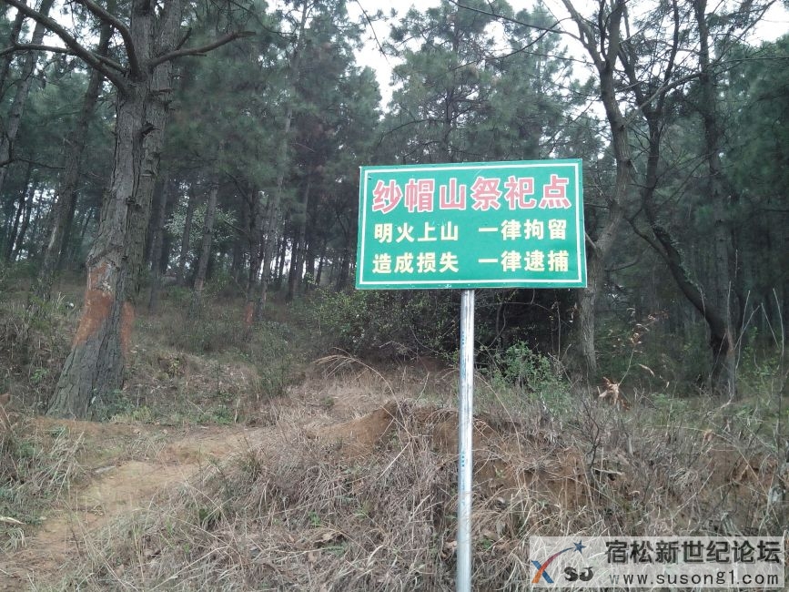 IMG20140320101932.jpg