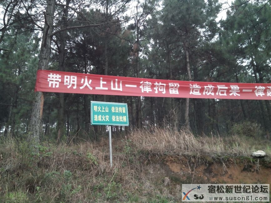 IMG20140320101950.jpg