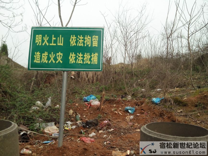 IMG20140320080819.jpg