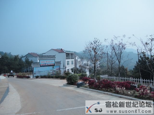 DSC08716.JPG