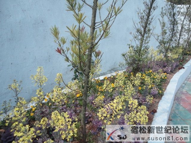 DSC08714.JPG