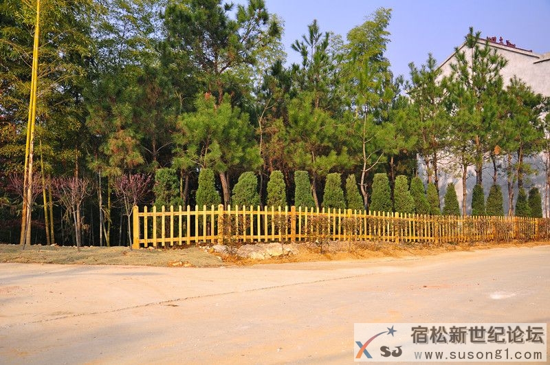 DSC_0317_副本.jpg