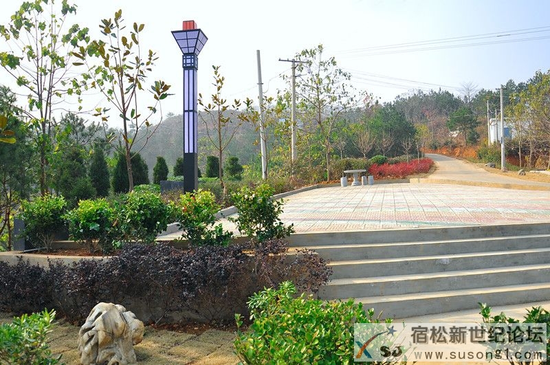 DSC_0291_副本.jpg