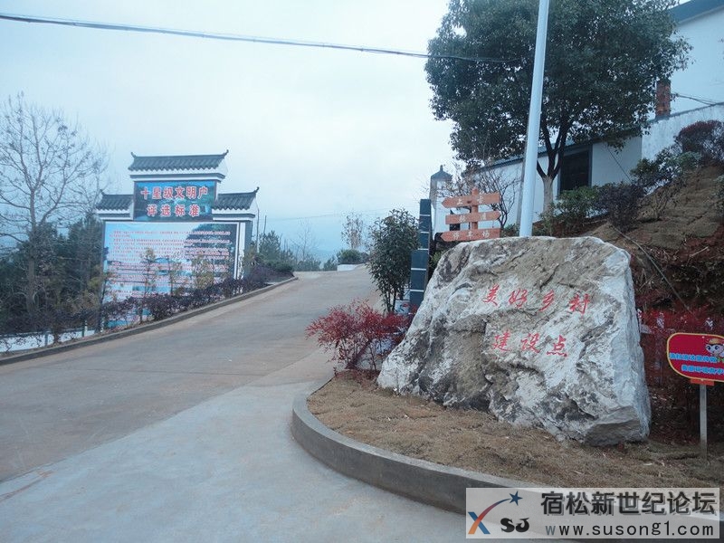 DSC08432_副本.jpg