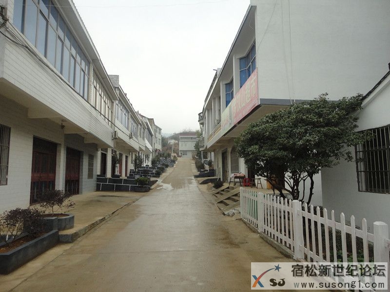 DSC08440_副本.jpg