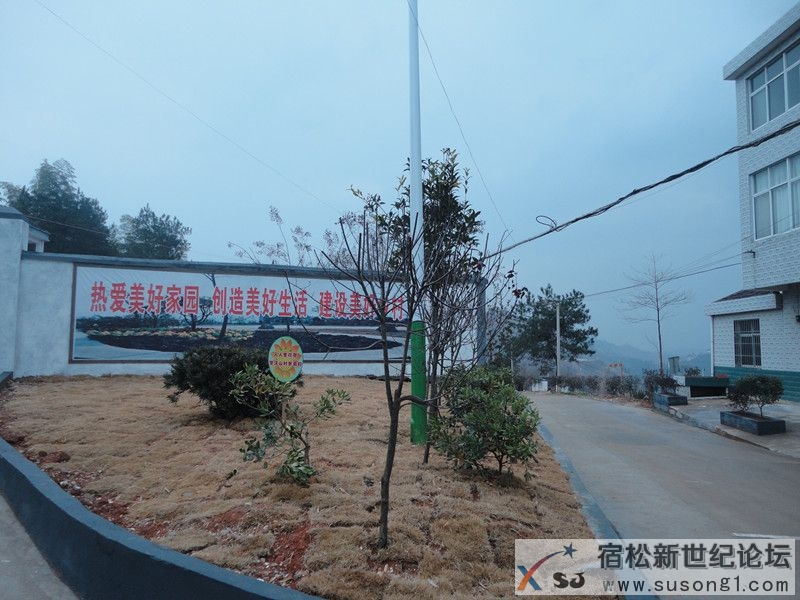 DSC08441_副本.jpg