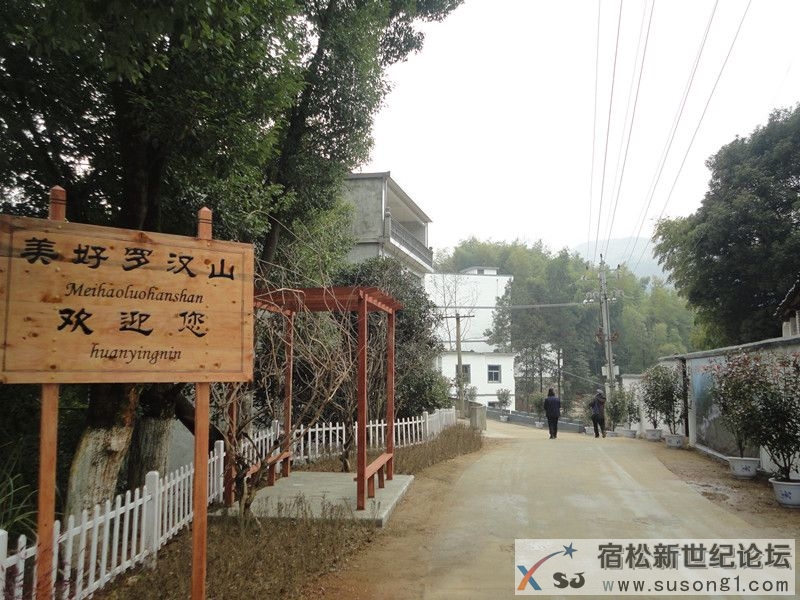 DSC08467_副本.jpg