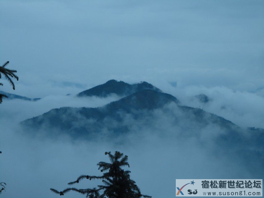 psb.jpghuangs黄山宿松.jpg
