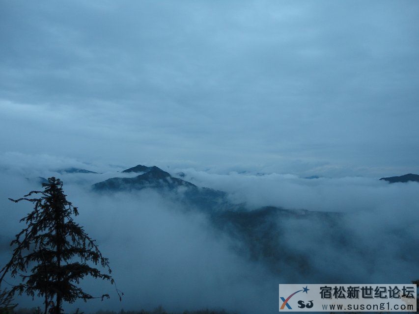 psb.jpg宿松黄山.jpg