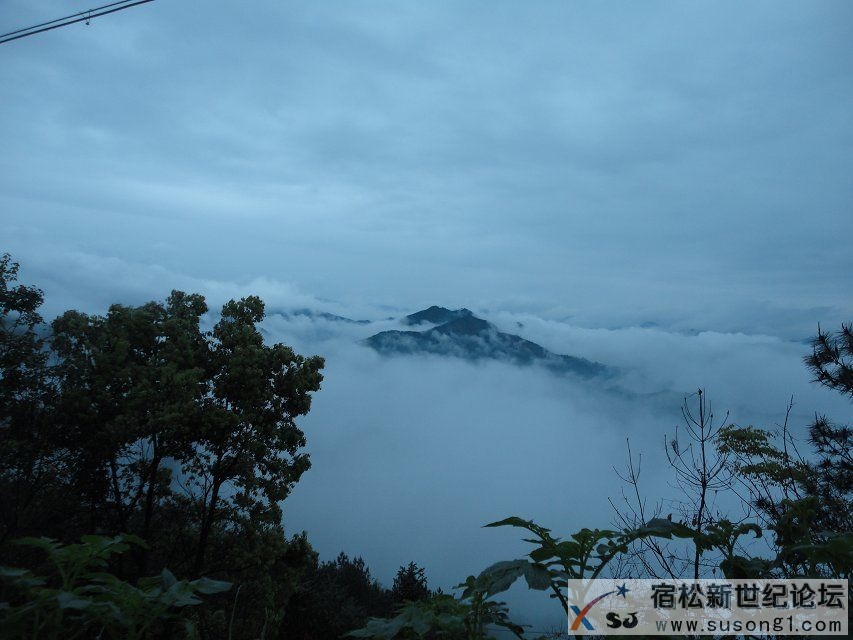psb.jpg雾海.jpg