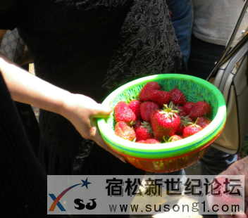 QQ截图20140503224154.png