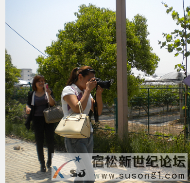 QQ截图20140503230303.png