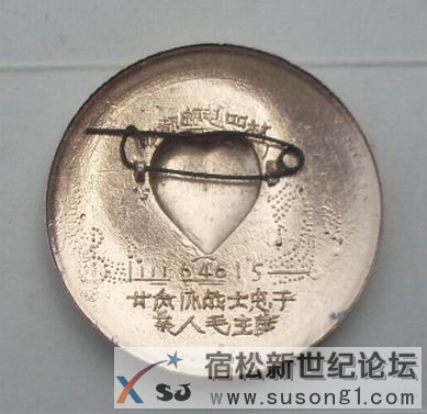 SDC11678.JPG