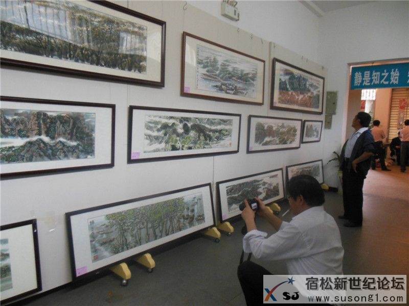 钱艳林山水画作品展宿松新世纪论坛何仁摄6.jpg