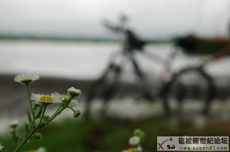 QQ图片20140603181252.jpg