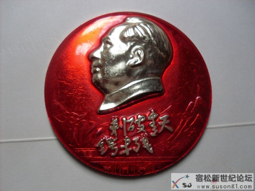 刺破青天锷未残.JPG