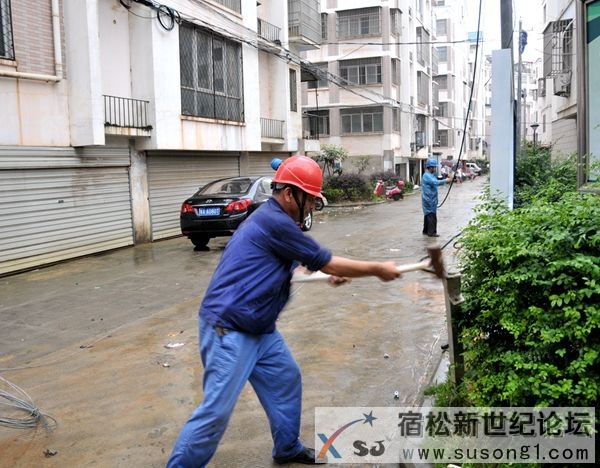 装设电杆拉线.JPG