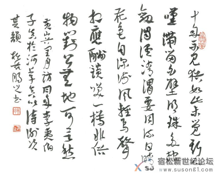 陈明之作品展，宿松新世纪论坛上传21.jpg