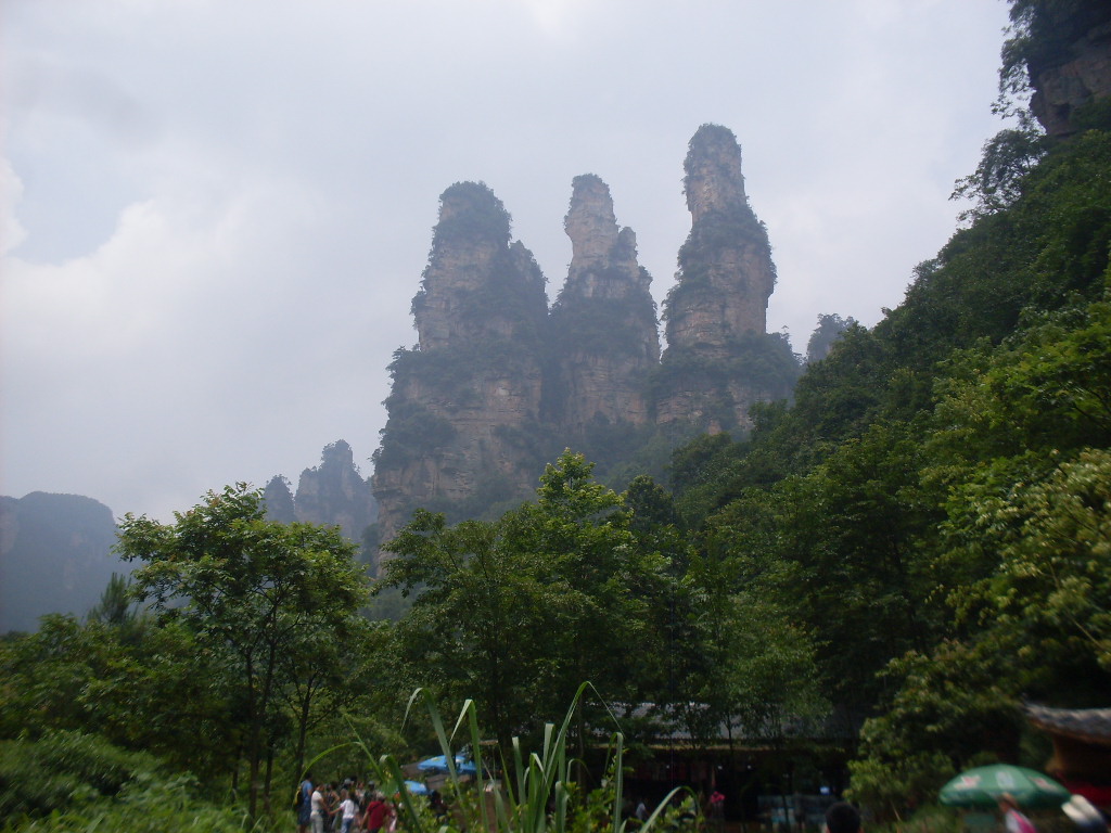 SDC13042.JPG