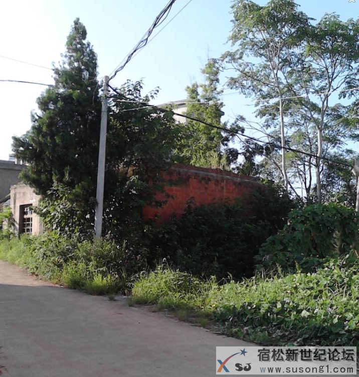 QQ截图20140802002403.jpg