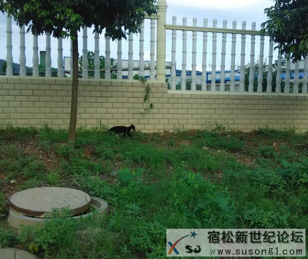 QQ截图20140802002455.jpg
