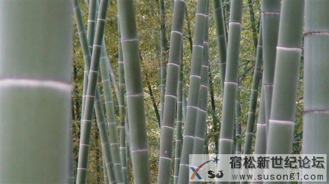 北浴.jpg