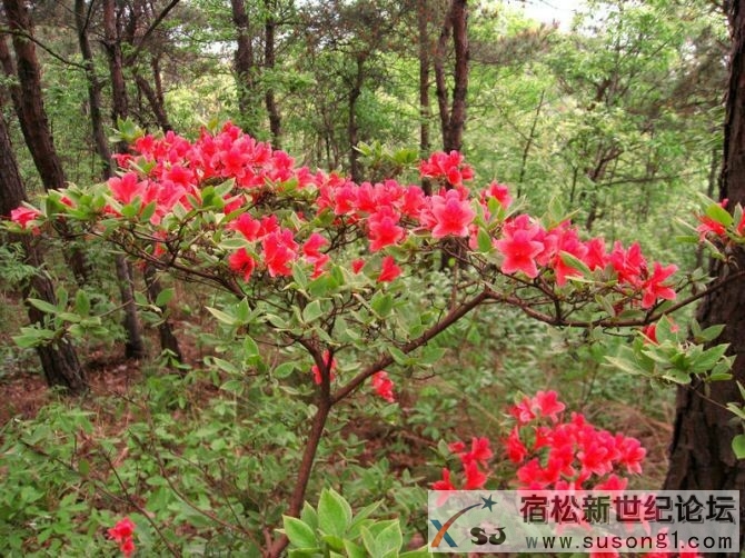 北浴 (2).jpg